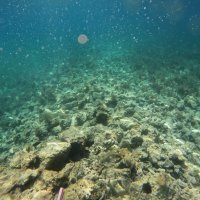 Arheološko otkriće