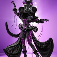 Masked Singer (Pantera)