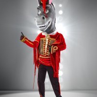 Masked Singer (Tovar)