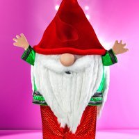 Masked Singer (Vrtni patuljak)