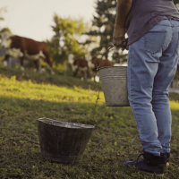 Prikaz_film_Zagreb County A Taste Above_5-min