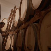 Prikaz_film_Zagreb County A Taste Above_5-min