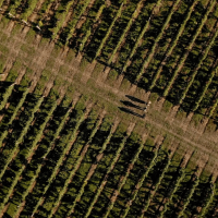 Prikaz_film_Zagreb County A Taste Above_5-min