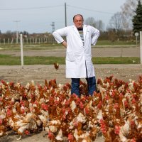 Veterinar Ivica Baričević na farmi u Soljanima