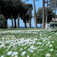 Prvi dan proljeća u Zadru