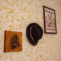 Ribarska kuća, Ilok