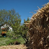 Rural House Veranda, Šarengrad