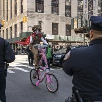 Trumpovi simpatizeri u New Yorku