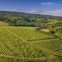 Robinson vila Kitokret, Kutjevo