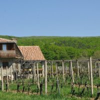 Robinson vila Kitokret, Kutjevo