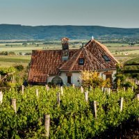 Robinson vila Kitokret, Kutjevo