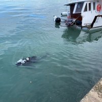 Havarija na Brijunima