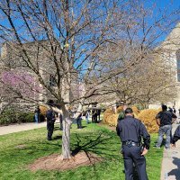 Pucnjava u Nashvilleu