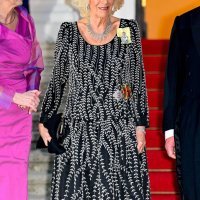 Kraljica supruga Camilla