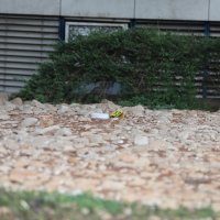 Požar kod zgrade PU istarske u Puli