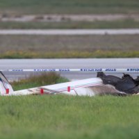 Dvoje ljudi poginulo u padu malog privatnog aviona prilikom polijetanja