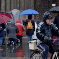 Biljana Borzan održala konferenciju za medije na skupu molitelja u Osijeku