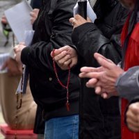 Biljana Borzan održala konferenciju za medije na skupu molitelja u Osijeku