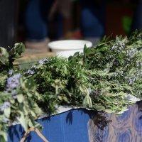 Ponuda maslinovih grančica uoči Cvjetnice