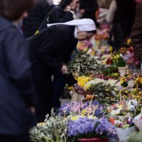 Ponuda maslinovih grančica uoči Cvjetnice