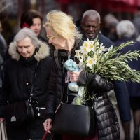 Ponuda maslinovih grančica uoči Cvjetnice