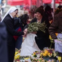 Ponuda maslinovih grančica uoči Cvjetnice