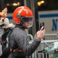 Gužva ispred sudnice uoči Trumpova izjašnjavanja