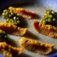 Suculent - Barcelona