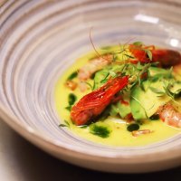 Suculent - Barcelona