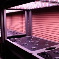 NASA-in eksperiment: Simulacija života na Marsu