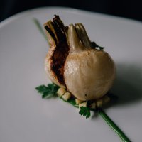 L Effervescence Fixed Point (taken by Nathalie Cantacuzino)