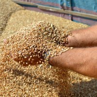 Poljoprivreda u Poljskoj