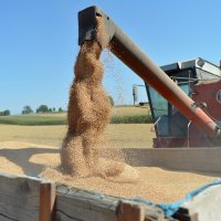 Poljoprivreda u Poljskoj