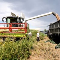 Poljoprivreda u Poljskoj