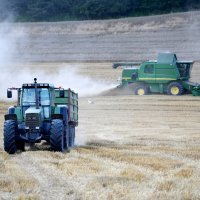 Poljoprivreda u Poljskoj