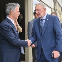 Milorad Pupovac, Davor Božinović