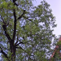 Samsung Galaxy A54 5G primjeri fotografija