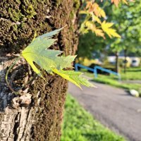 Samsung Galaxy A54 5G primjeri fotografija