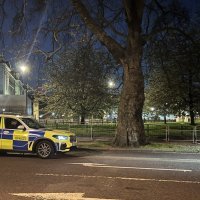 Incident ispred Buckinghamske palače