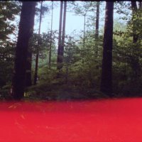 Crvene šume Nika Autor