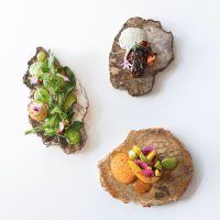 Mazzia - Martell DavidGirard2022