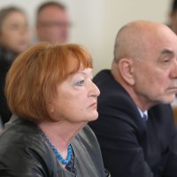Zlata Hrvoj Šipek pred saborskim Odborom za pravosuđe