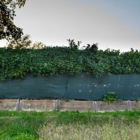 Vila Zorana Mamića u zagrebačkoj Dubravi