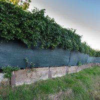 Vila Zorana Mamića u zagrebačkoj Dubravi