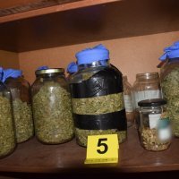 Uzgajao marihuanu na ivanićgradskom području