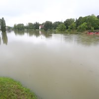 Vodostaj Korane u blagom porastu