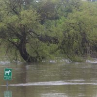 Vodostaj Korane u blagom porastu