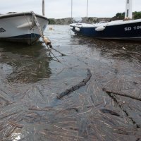 Mazut iz Zrmanje u Posedarju