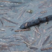 Mazut iz Zrmanje u Posedarju