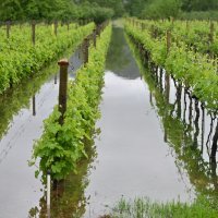 Poplave u vrgoračkom kraju